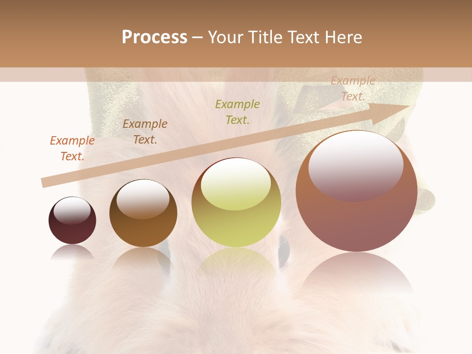 A Brown Bunny With A Green Bow On Its Head PowerPoint Template