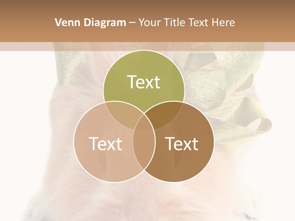 A Brown Bunny With A Green Bow On Its Head PowerPoint Template