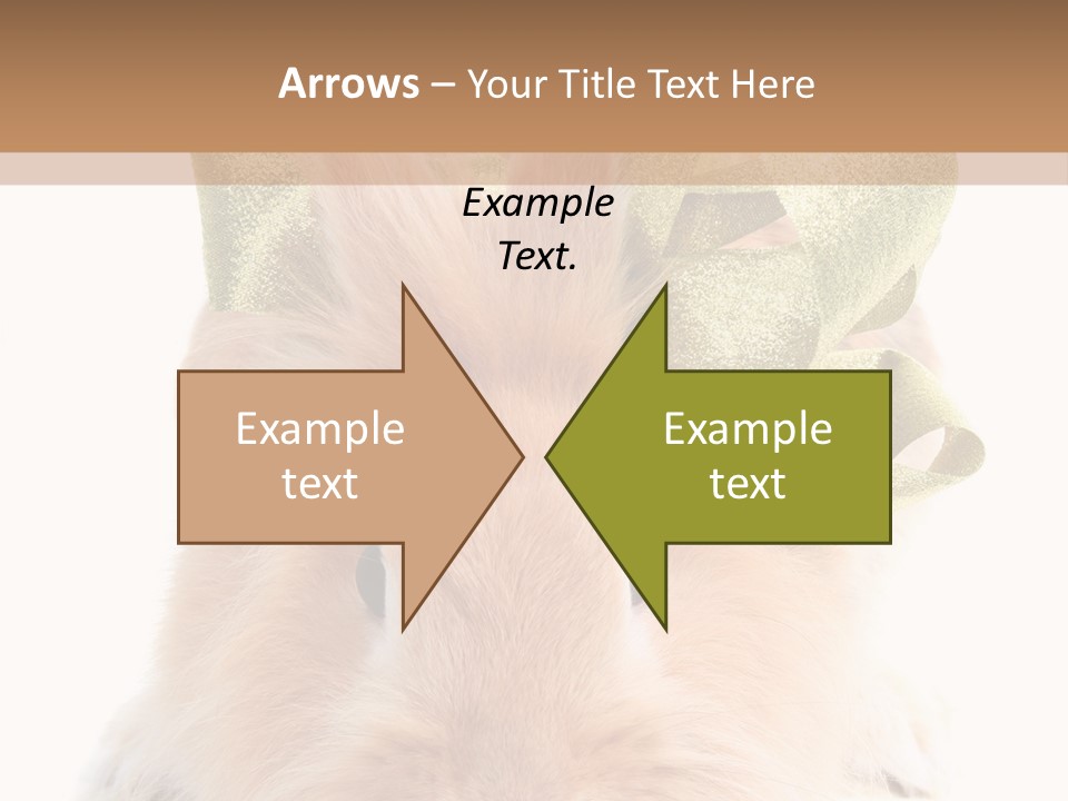 A Brown Bunny With A Green Bow On Its Head PowerPoint Template
