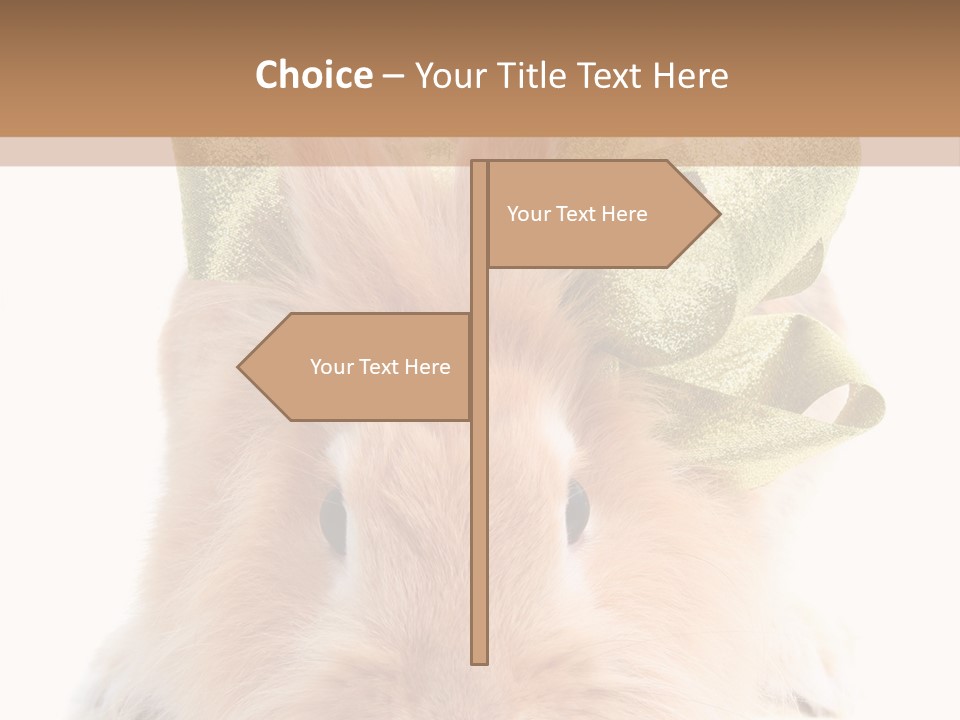 A Brown Bunny With A Green Bow On Its Head PowerPoint Template