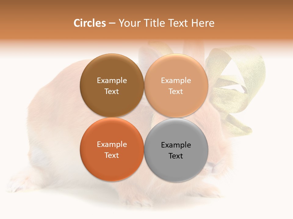 Furry Muffle Isolated PowerPoint Template