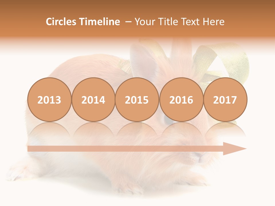 Furry Muffle Isolated PowerPoint Template