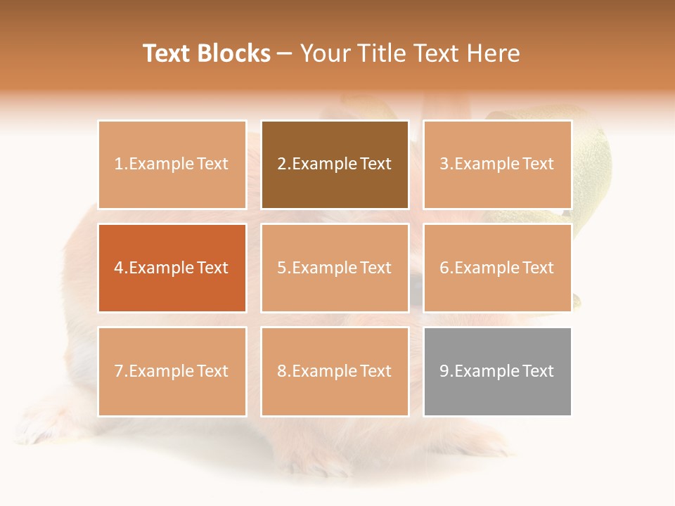 Furry Muffle Isolated PowerPoint Template