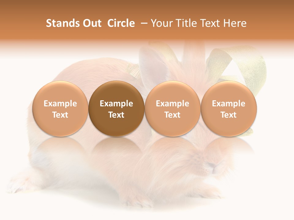 Furry Muffle Isolated PowerPoint Template