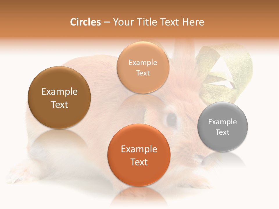 Furry Muffle Isolated PowerPoint Template