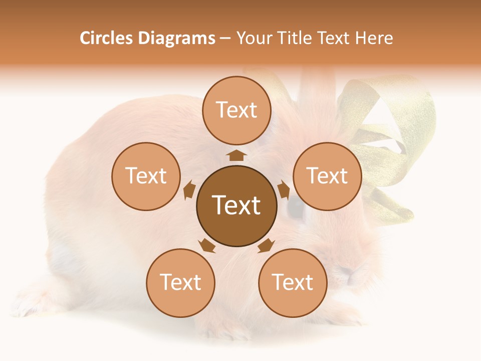 Furry Muffle Isolated PowerPoint Template