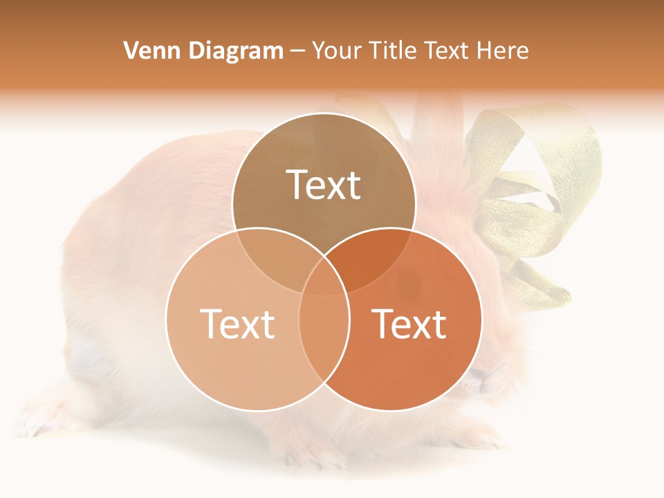 Furry Muffle Isolated PowerPoint Template