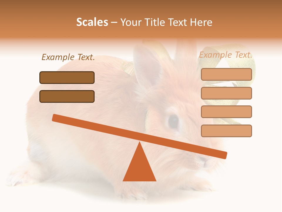 Furry Muffle Isolated PowerPoint Template