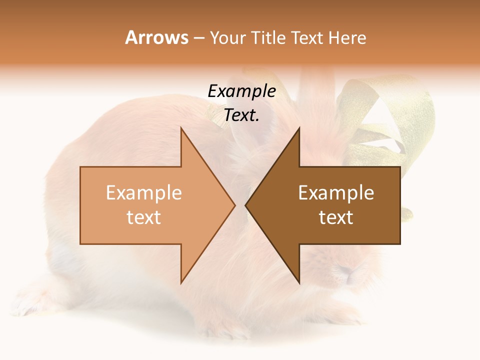 Furry Muffle Isolated PowerPoint Template