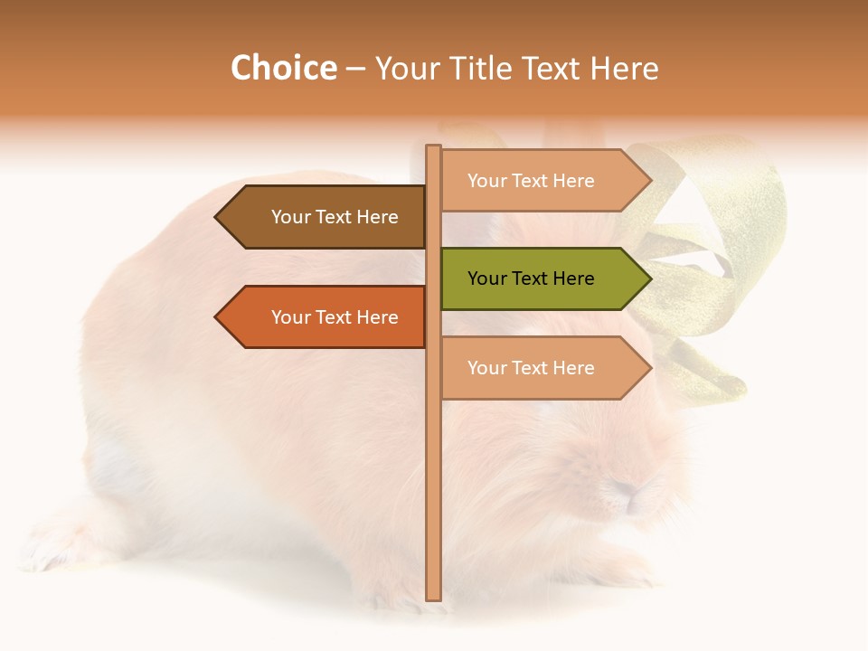 Furry Muffle Isolated PowerPoint Template