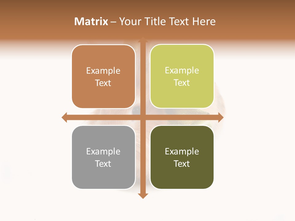 Tame Pretty Isolated PowerPoint Template