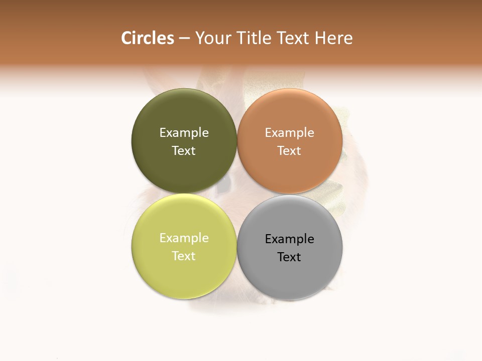 Tame Pretty Isolated PowerPoint Template