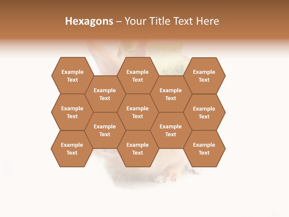 Tame Pretty Isolated PowerPoint Template