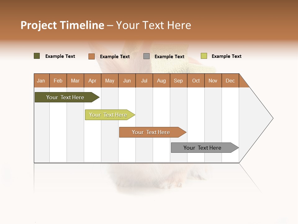 Tame Pretty Isolated PowerPoint Template