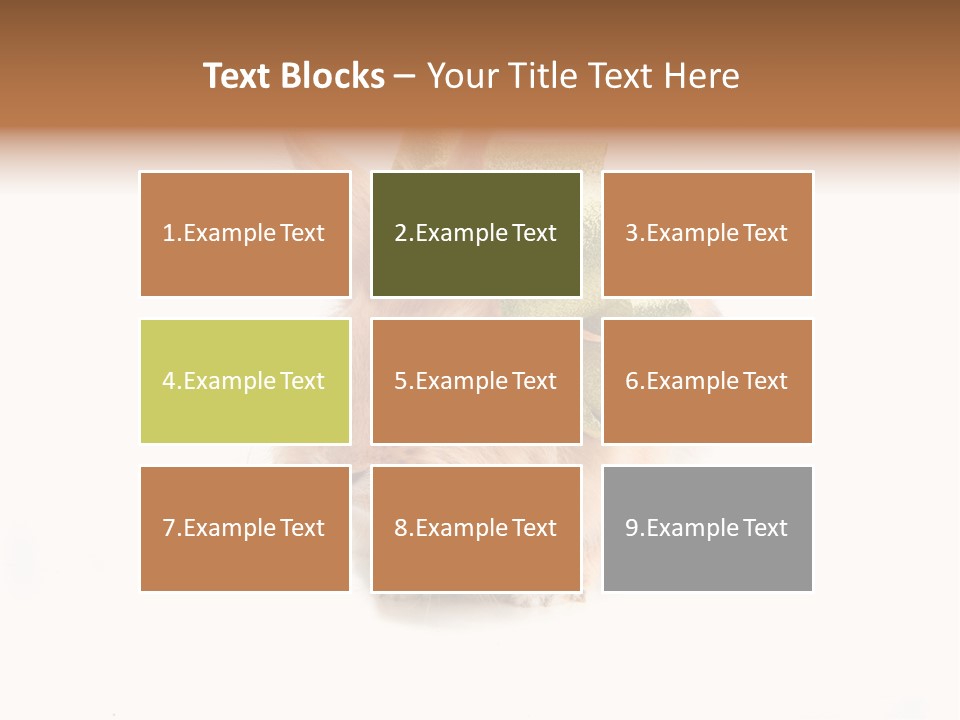 Tame Pretty Isolated PowerPoint Template