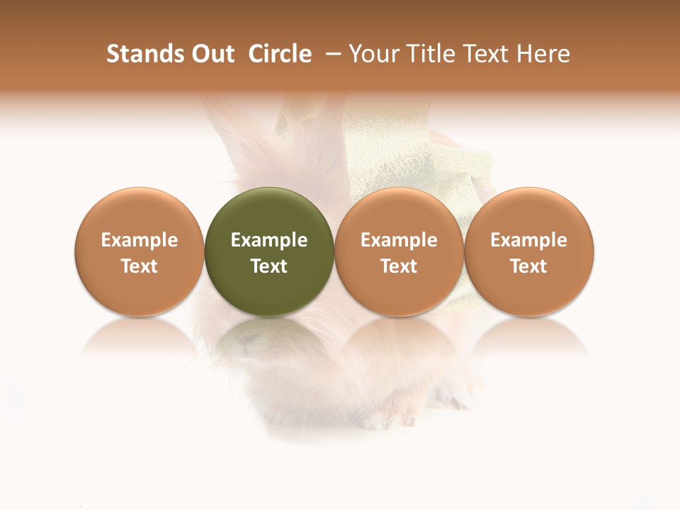 Tame Pretty Isolated PowerPoint Template