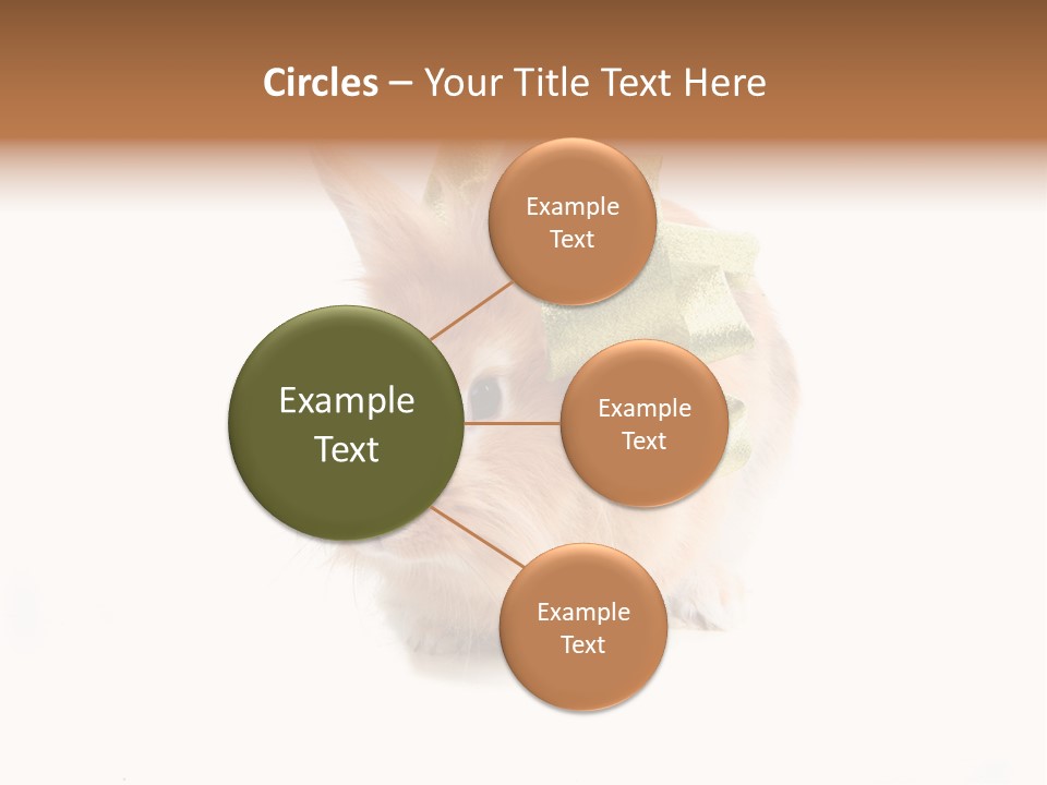 Tame Pretty Isolated PowerPoint Template