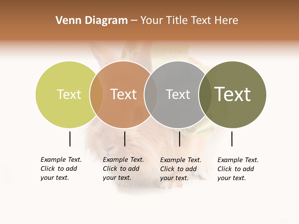 Tame Pretty Isolated PowerPoint Template