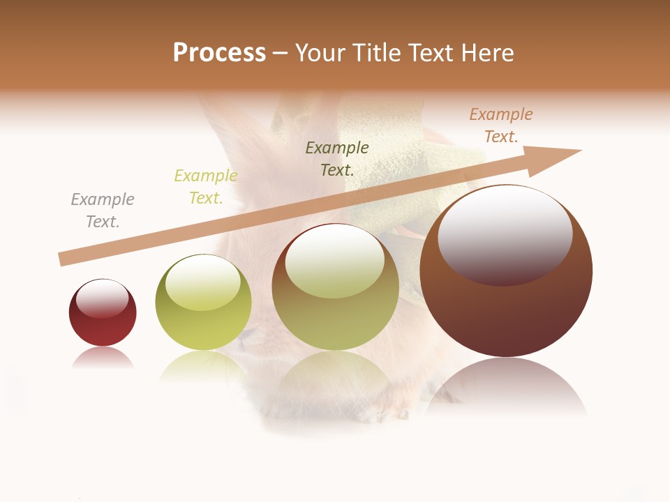 Tame Pretty Isolated PowerPoint Template