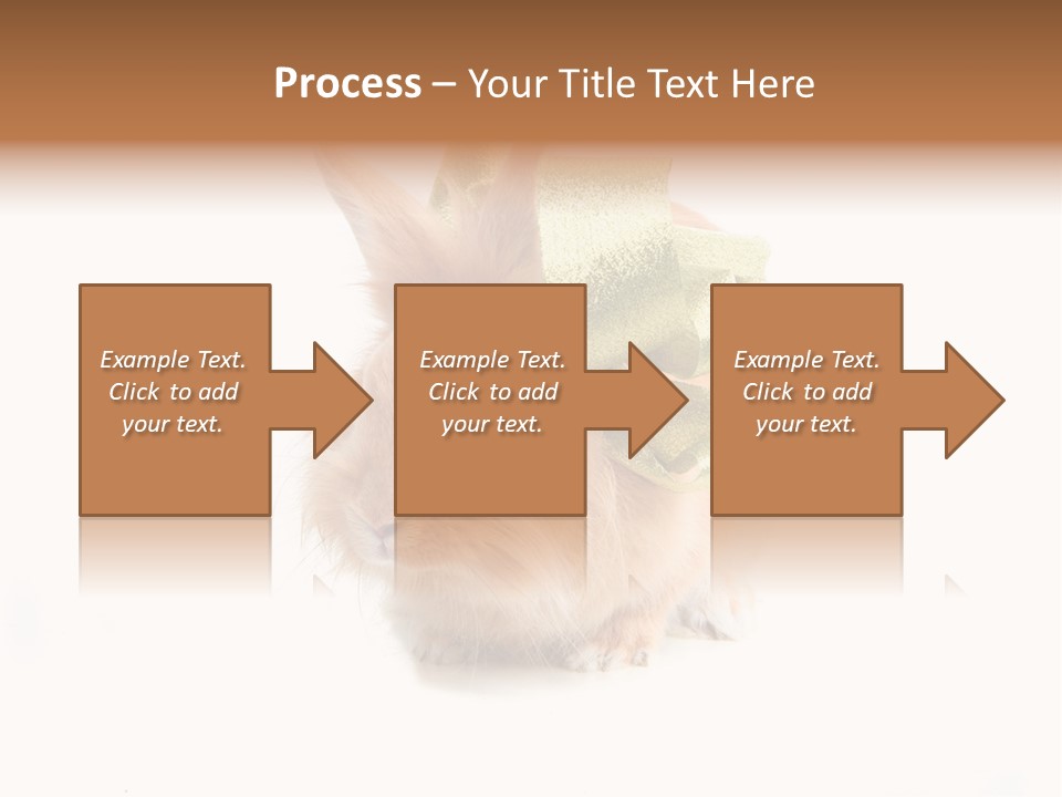 Tame Pretty Isolated PowerPoint Template