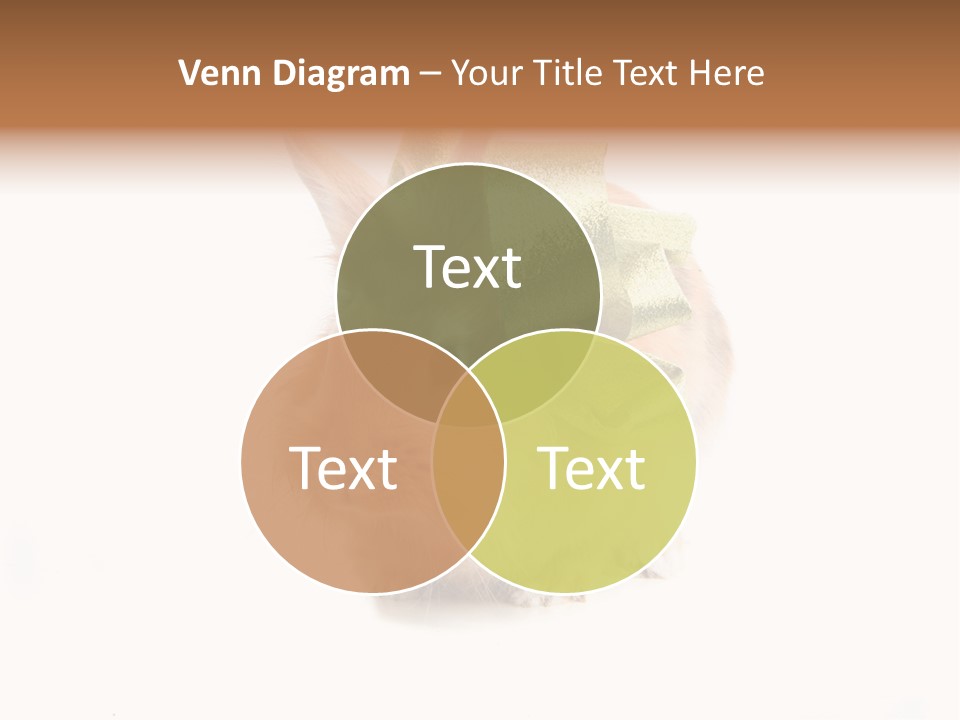 Tame Pretty Isolated PowerPoint Template