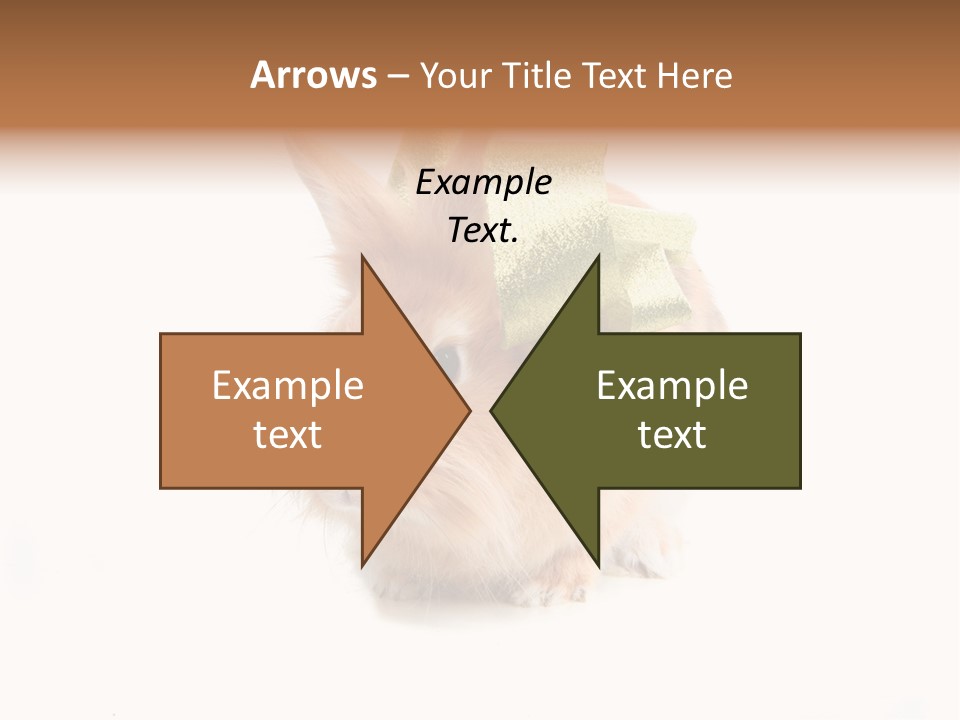 Tame Pretty Isolated PowerPoint Template