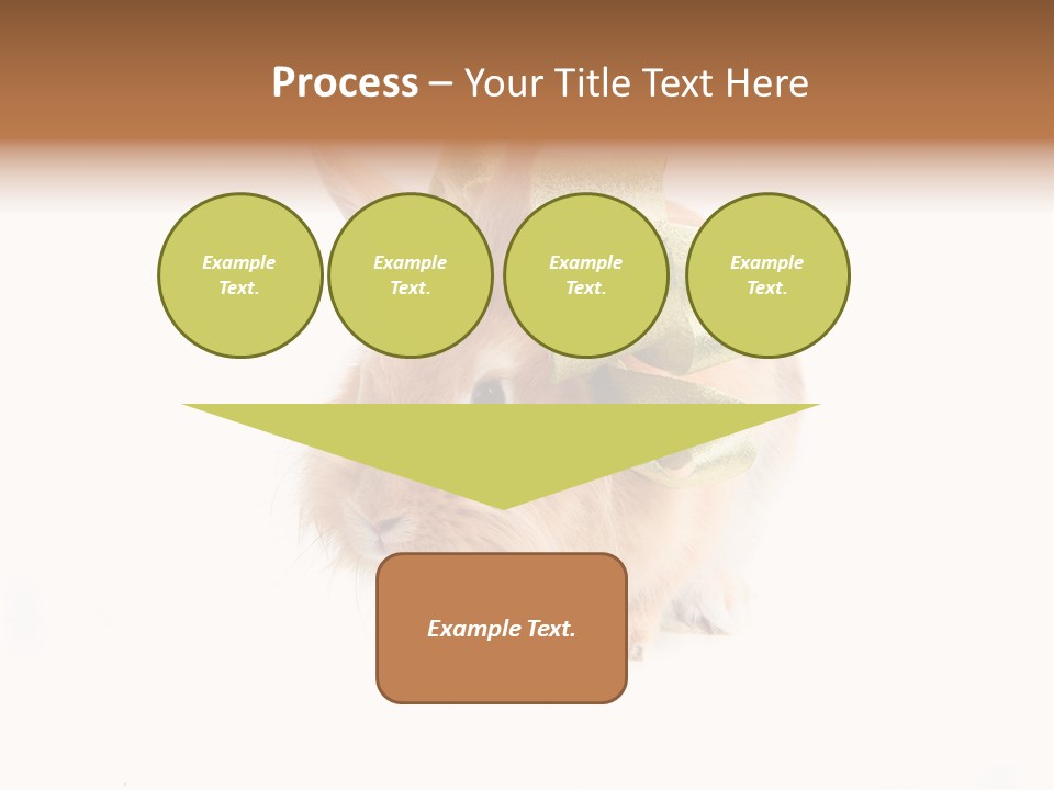 Tame Pretty Isolated PowerPoint Template