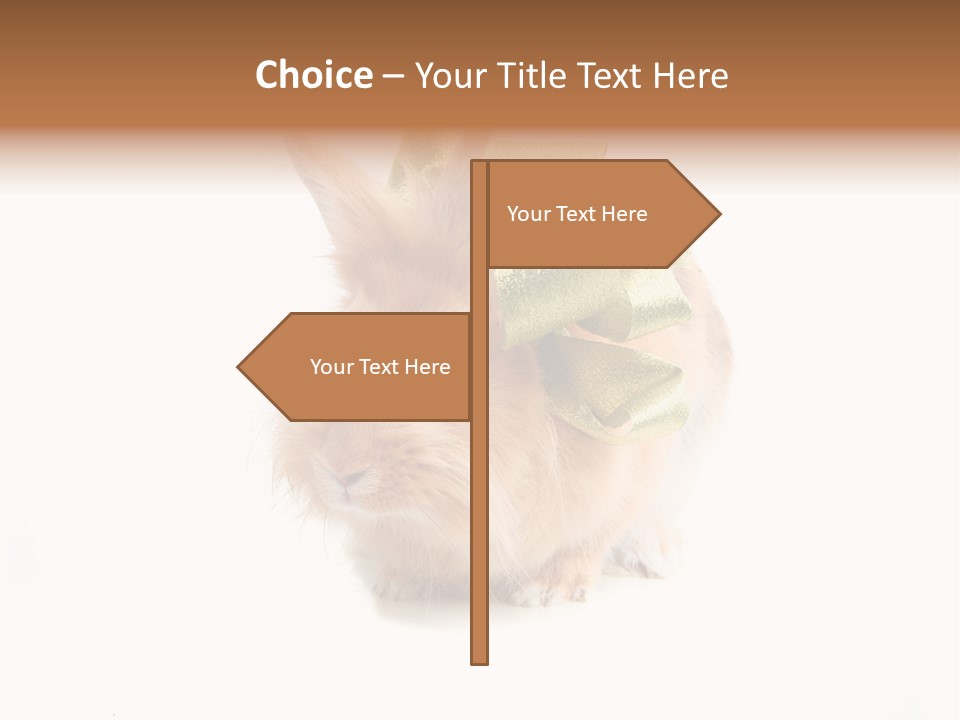 Tame Pretty Isolated PowerPoint Template