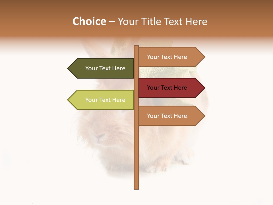 Tame Pretty Isolated PowerPoint Template