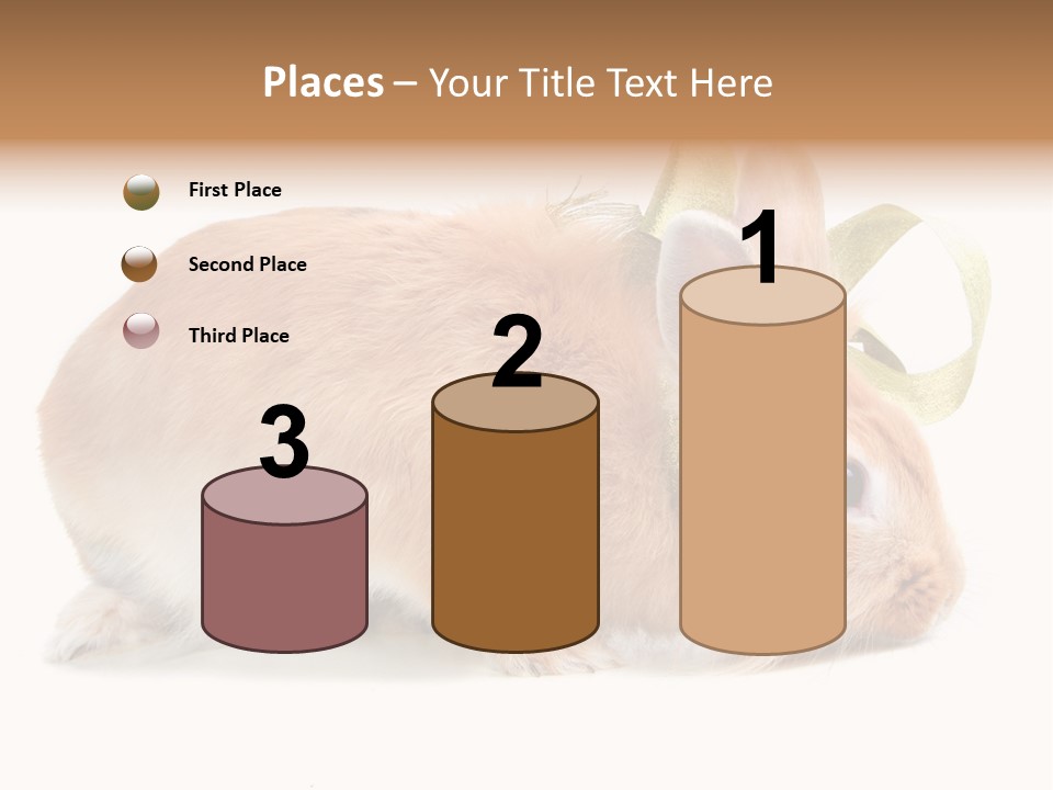 Shot Closeup Beauty PowerPoint Template