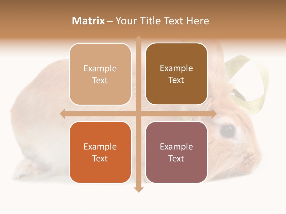 Shot Closeup Beauty PowerPoint Template