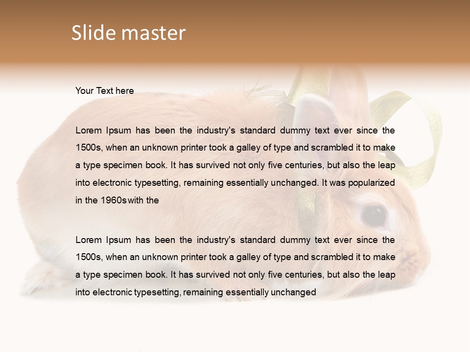 Shot Closeup Beauty PowerPoint Template