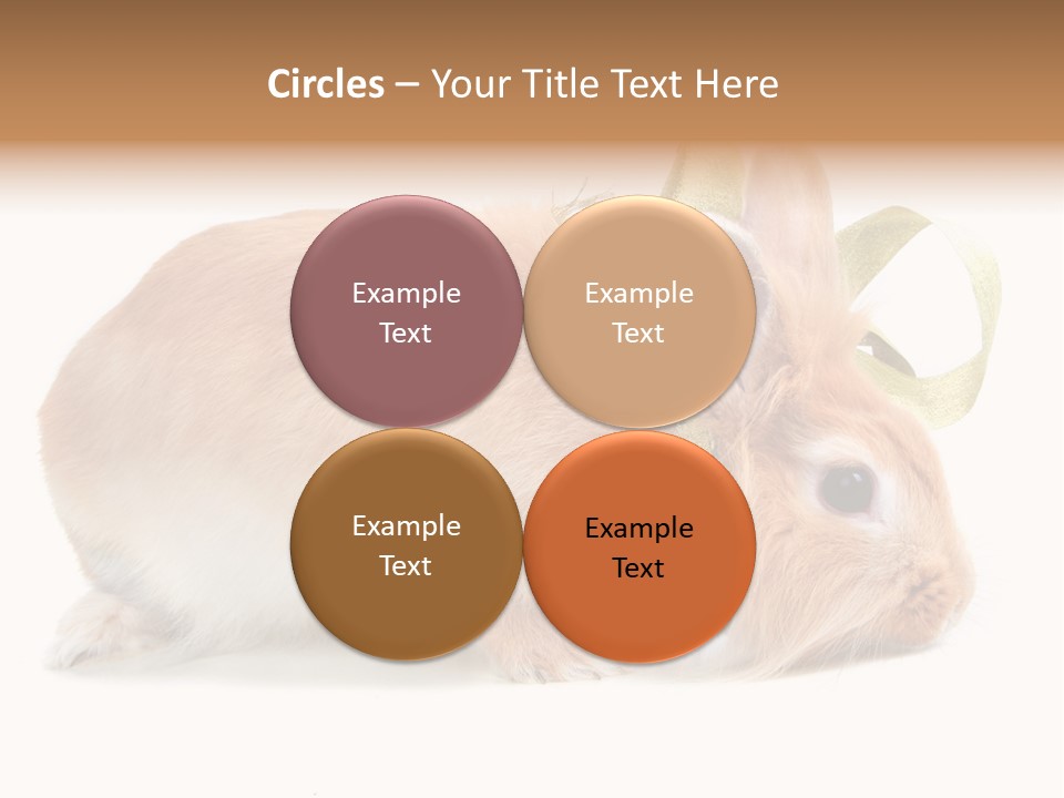 Shot Closeup Beauty PowerPoint Template