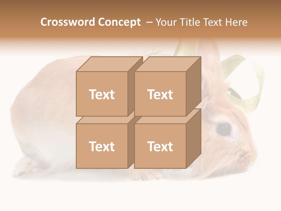 Shot Closeup Beauty PowerPoint Template