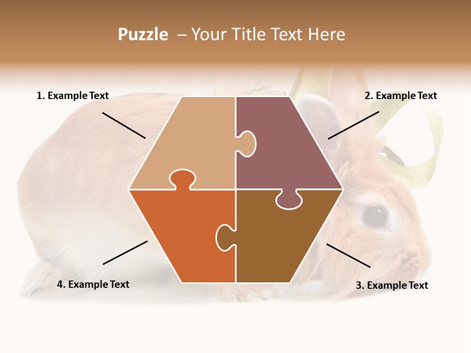 Shot Closeup Beauty PowerPoint Template