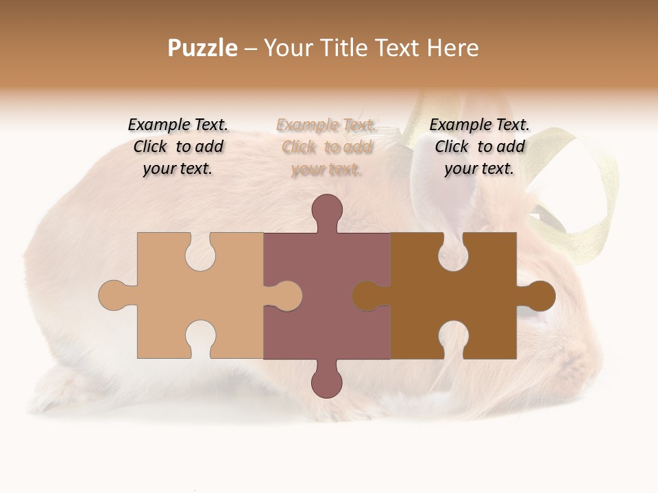 Shot Closeup Beauty PowerPoint Template