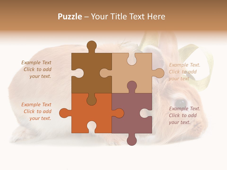 Shot Closeup Beauty PowerPoint Template