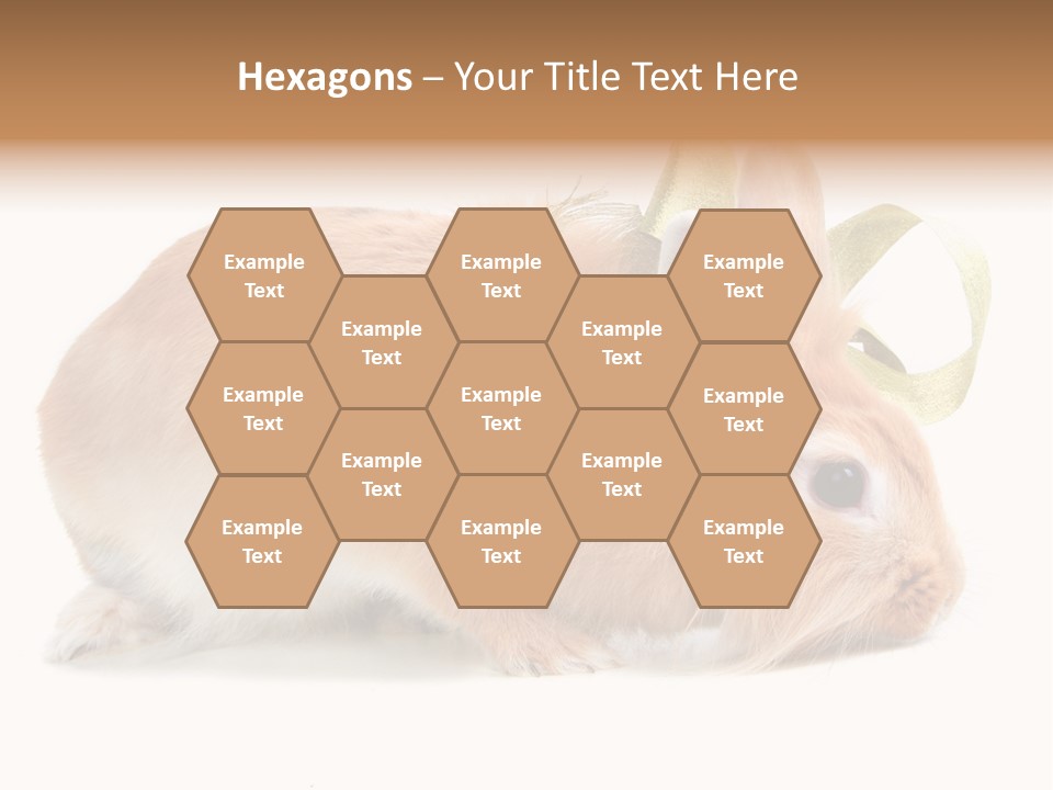 Shot Closeup Beauty PowerPoint Template