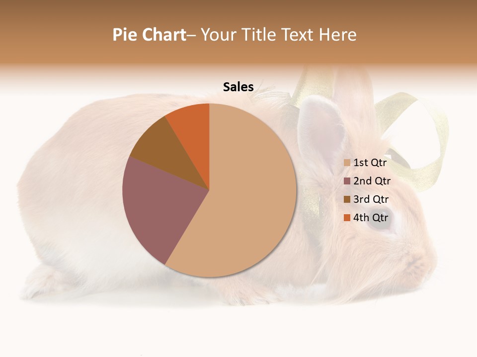 Shot Closeup Beauty PowerPoint Template