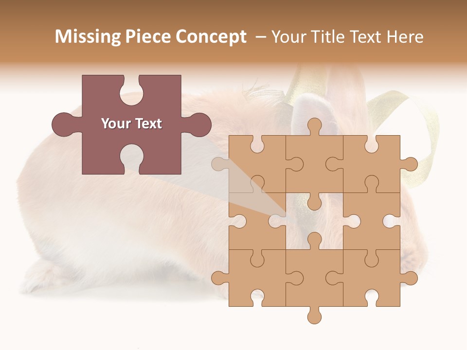 Shot Closeup Beauty PowerPoint Template