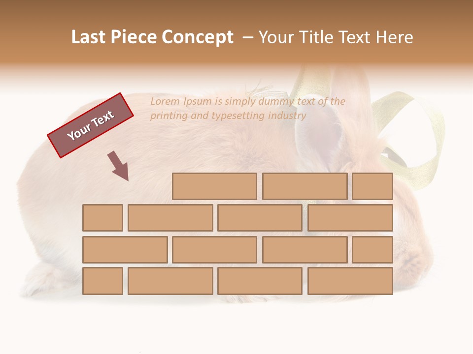 Shot Closeup Beauty PowerPoint Template