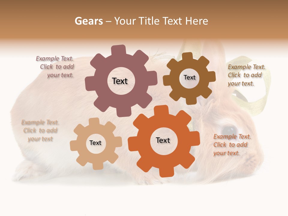 Shot Closeup Beauty PowerPoint Template