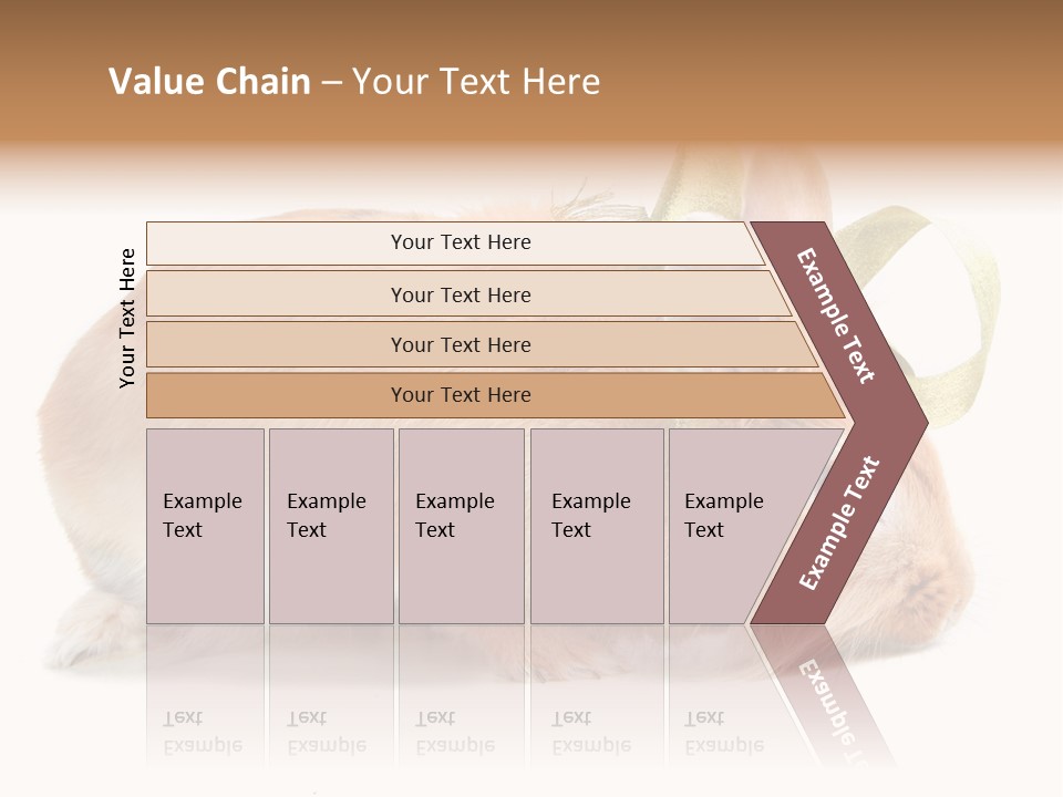 Shot Closeup Beauty PowerPoint Template