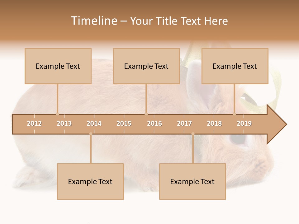 Shot Closeup Beauty PowerPoint Template