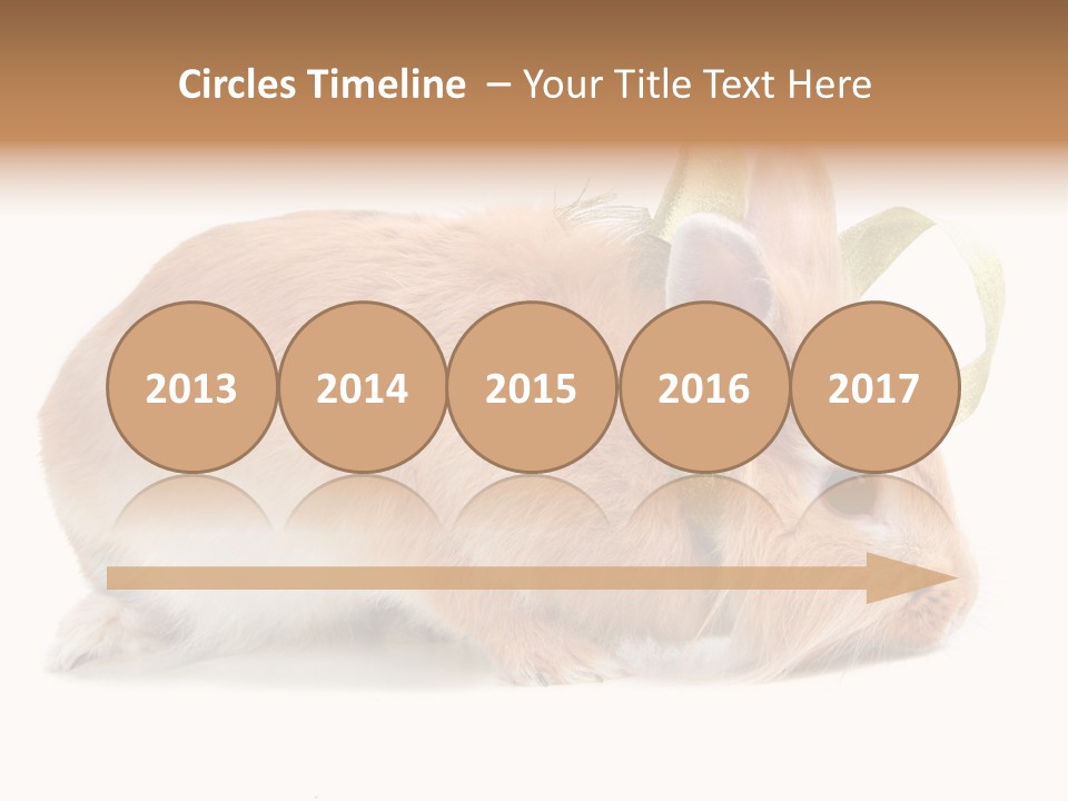 Shot Closeup Beauty PowerPoint Template