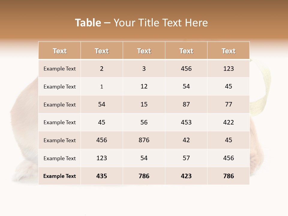 Shot Closeup Beauty PowerPoint Template