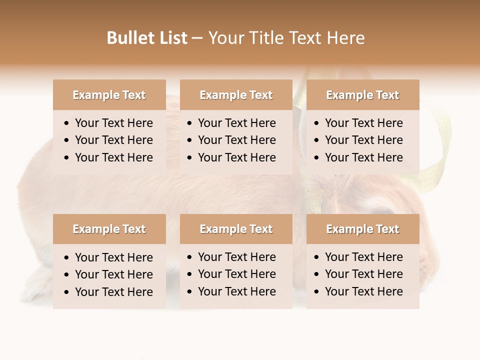 Shot Closeup Beauty PowerPoint Template