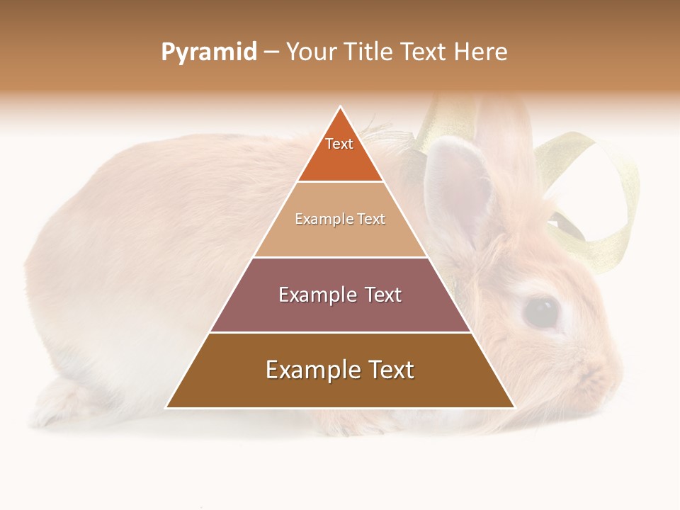 Shot Closeup Beauty PowerPoint Template