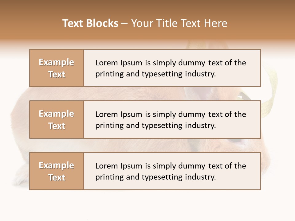 Shot Closeup Beauty PowerPoint Template