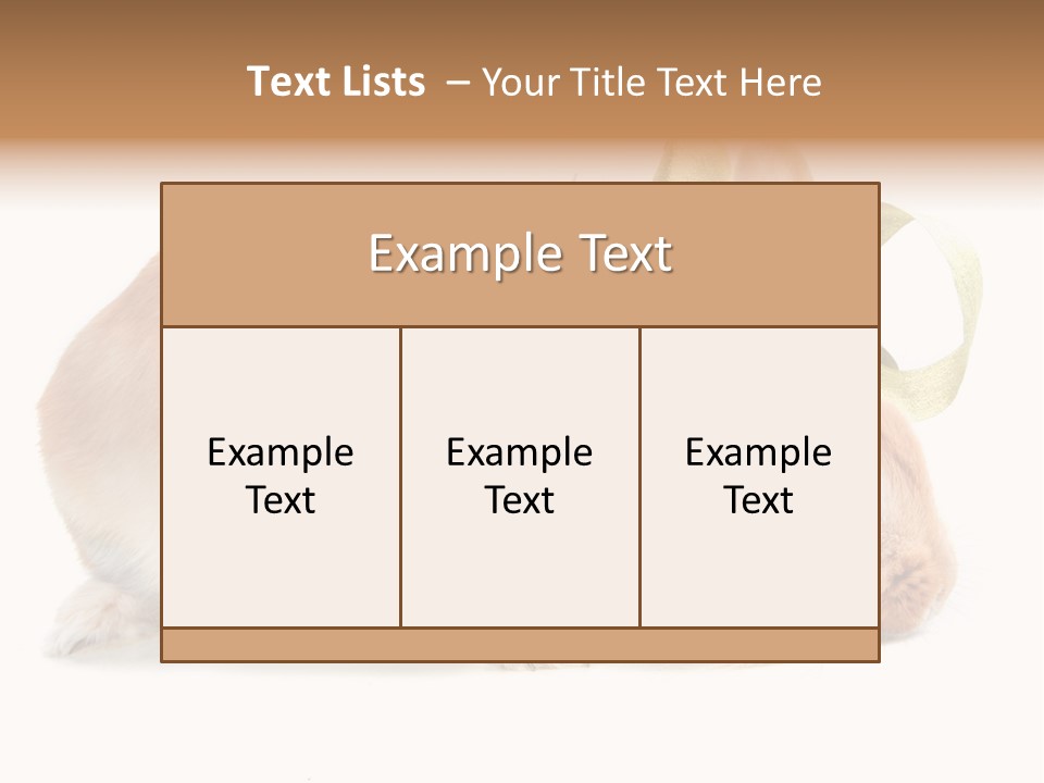 Shot Closeup Beauty PowerPoint Template